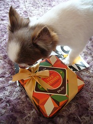 2013070802.jpg