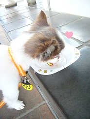 2013070902.jpg