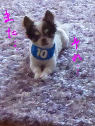 2013070912.jpg