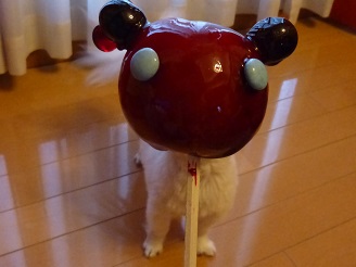 2013071802.jpg
