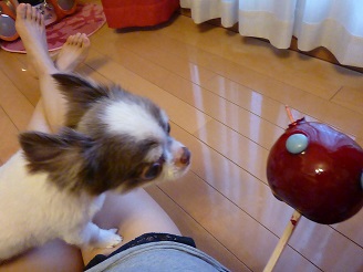 2013071803.jpg