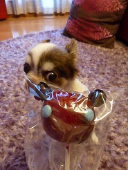 2013071807.jpg