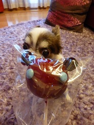2013071808.jpg