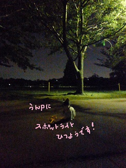 2013071901.jpg