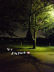 2013071903.jpg