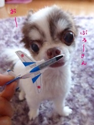 2013072002.jpg