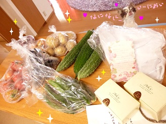 2013072401.jpg