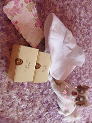 2013072402.jpg
