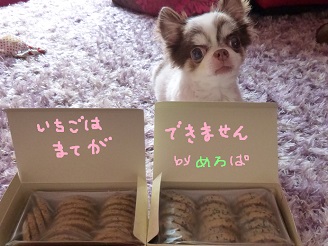 2013072405.jpg