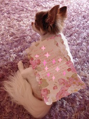 2013072407.jpg