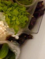 2013072408.jpg