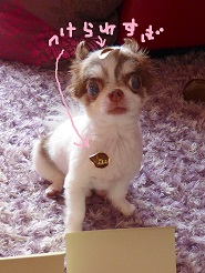 2013072410.jpg