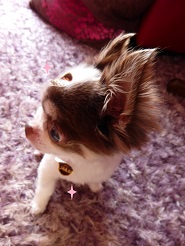 2013072411.jpg