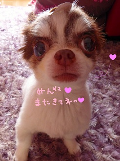 2013072412.jpg