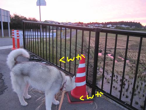 IMG_0180.jpg