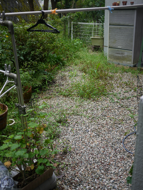 P1110076.jpg
