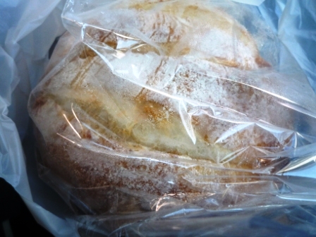P1050138.jpg