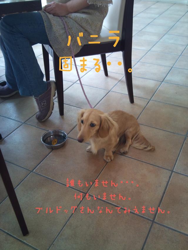 はじめてカフェ_convert_20120105204118