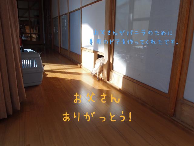 ドア_convert_20120106200656