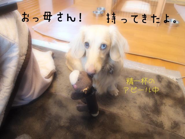 持ってきた_convert_20120123144143