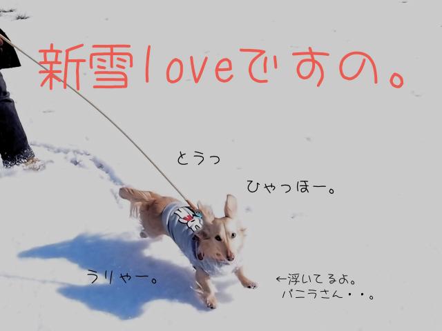 雪_convert_20120124155312