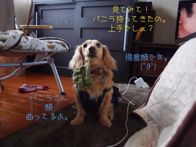 得意顔_convert_20120201170657