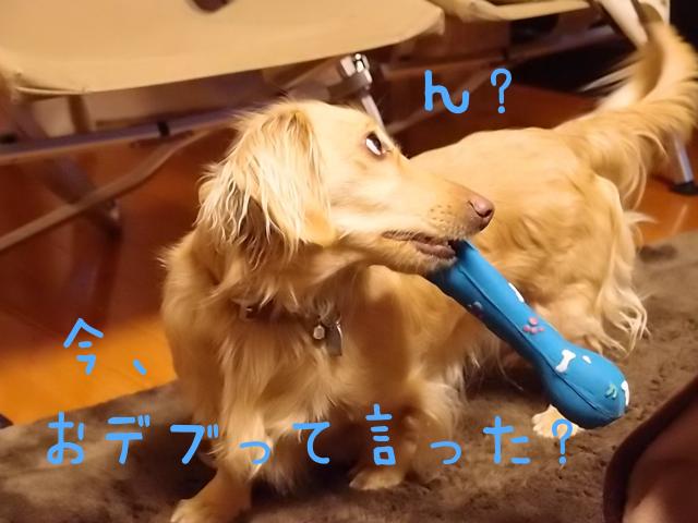 おでぶ_convert_20120206143134