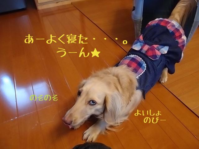 P2162のび193_convert_20120302200357