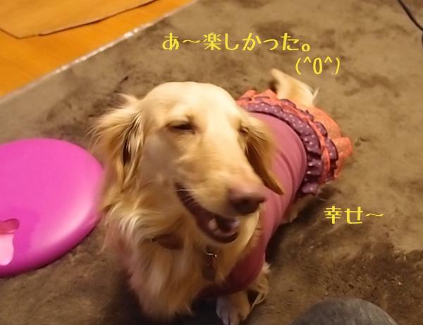 おもちゃ4_convert_20120310205151
