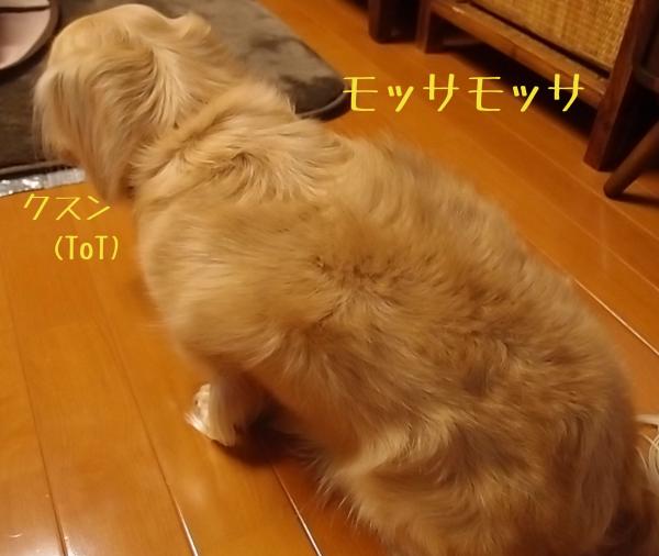 もさもさ_convert_20120311190510