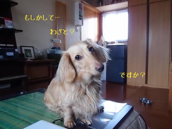 あ3_convert_20120315142506