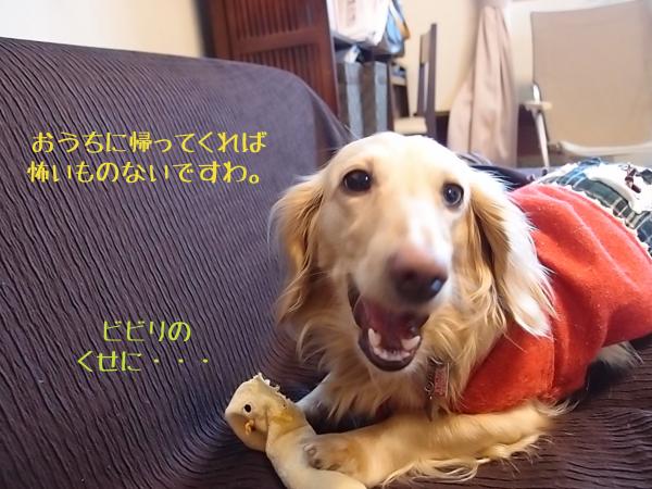 びびり_convert_20120402210133