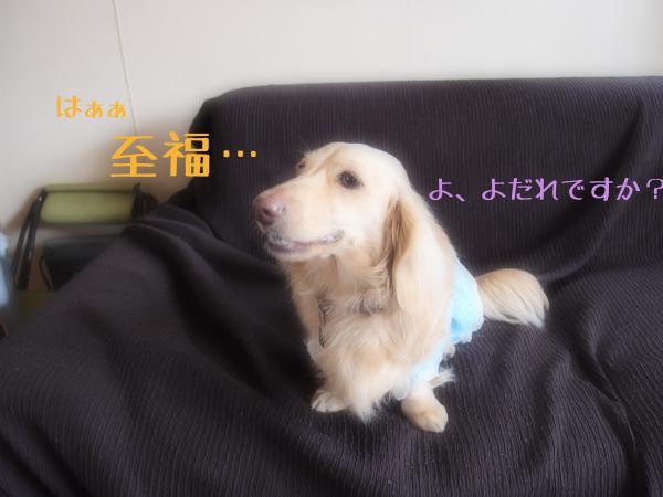 至福4_convert_20120403131333