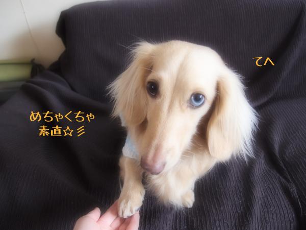 至福3_convert_20120403131311