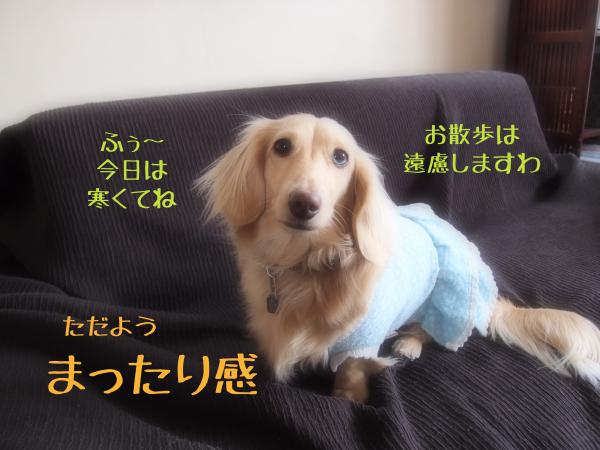 至福1_convert_20120403131220