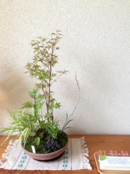 fc2blog_201306301647439a2.jpg