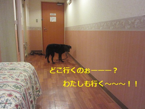 20111007g
