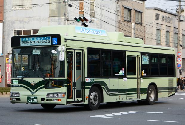 7a25.jpg