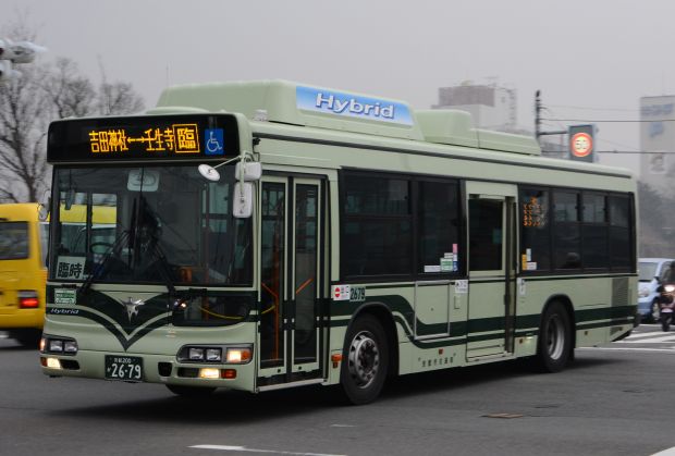 7a8.jpg