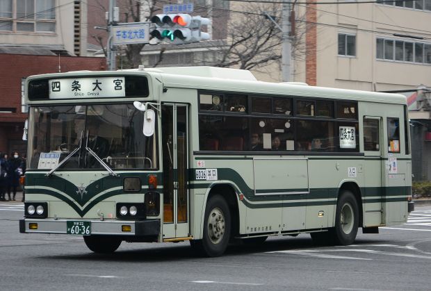 7d14.jpg