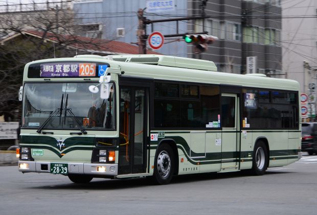7f2.jpg