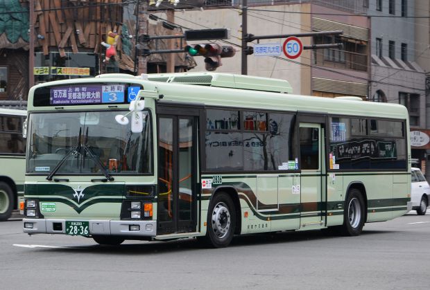 7f3.jpg