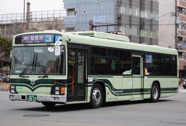 7f4.jpg
