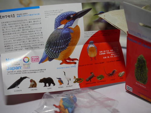 日本のいきもの 解説書