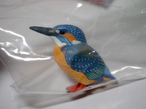 日本の生き物 カワセミ