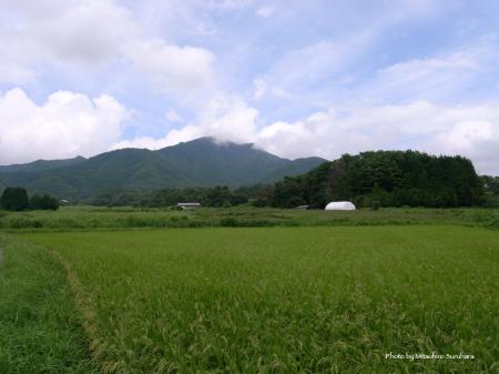 蒜山高原