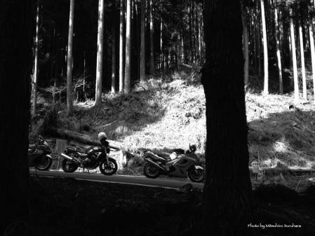 桜とバイクと天空の城