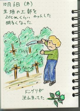 10月6日