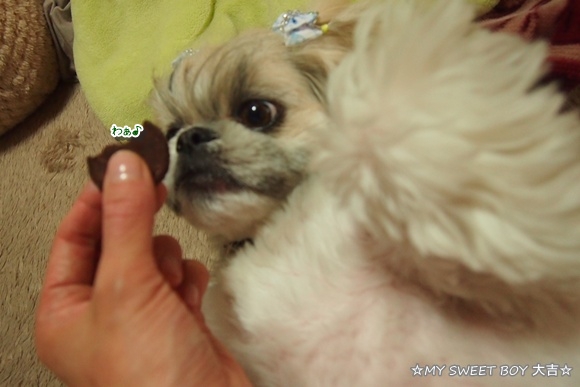 09-20120424.jpg