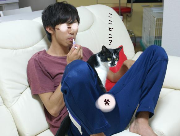 DSC06290.JPGぶろぐ